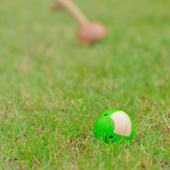 Ball in grass as part of PlanToys USA - Wooden Croquet Set 