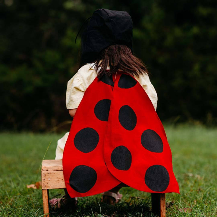 Ladybug Wings Costume with red wings with polkadots