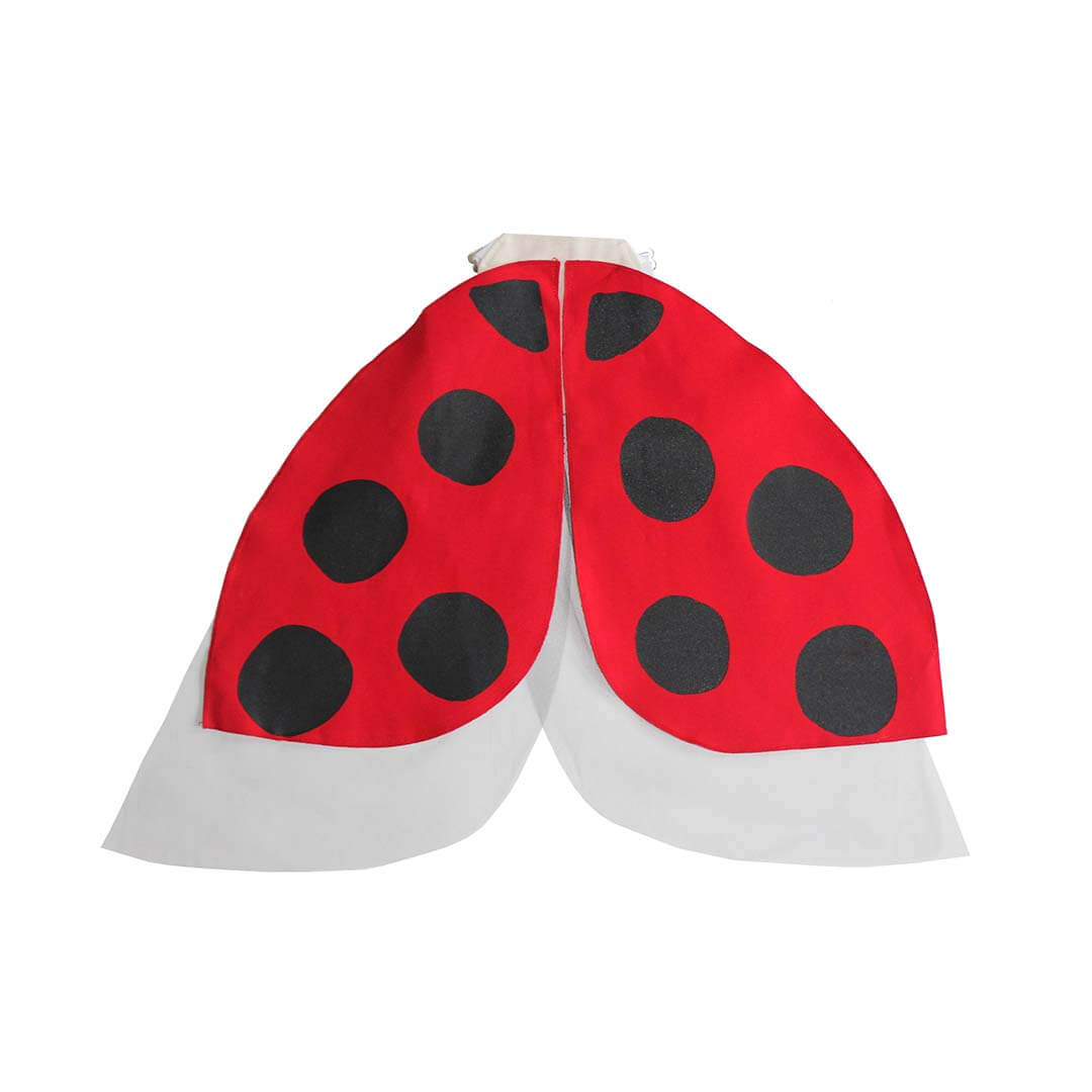 Ladybug Wings Costume with red wings with polkadots