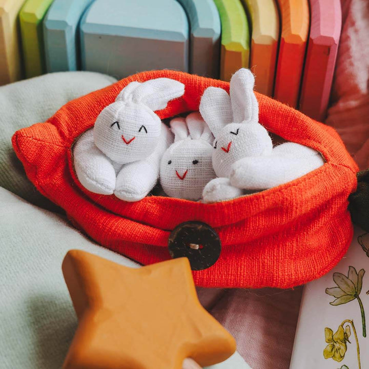 Three white plush bunnies in a carrot with colorful blocks in the background.