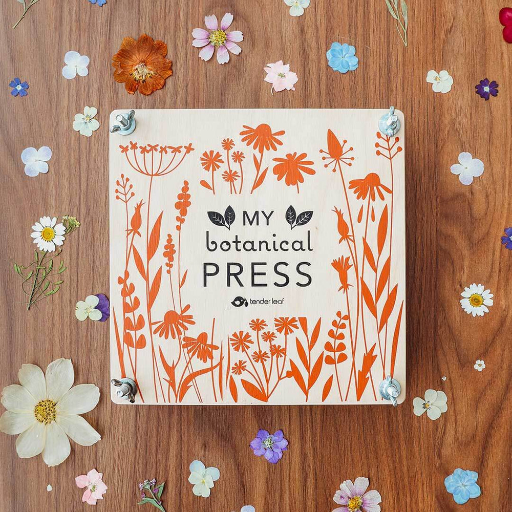 Botanical press with floral design on a wooden surface with scattered flowers