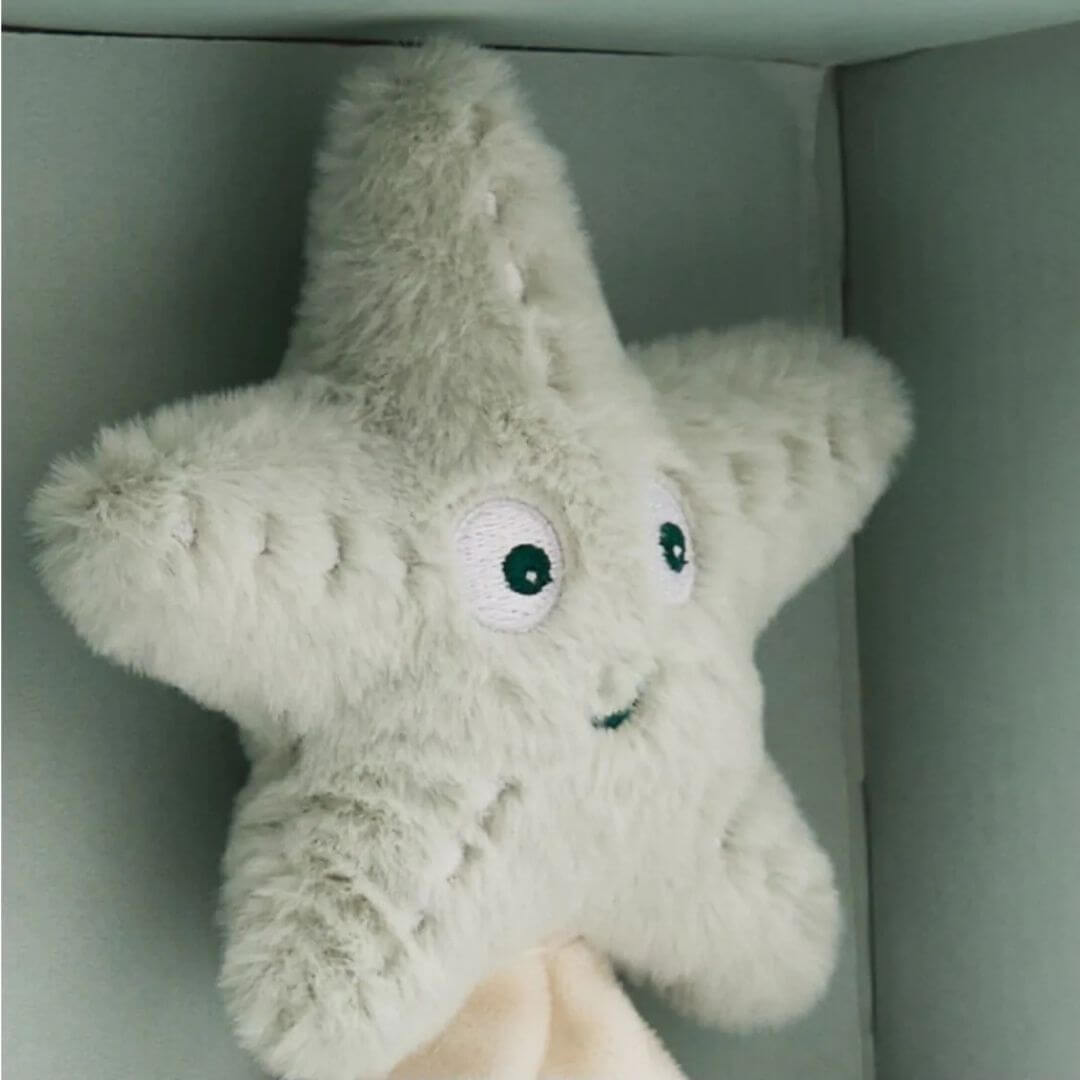 Miniland - Ocean-Themed Baby Gift Set with a close up of the starfish plush toy- Bella Luna Toys
