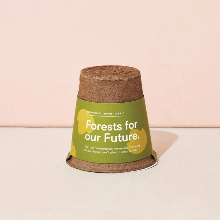 Eco-friendly tree planting kit with biodegradable pot made from upcycled cow manure. Supports reforestation efforts with every purchase.