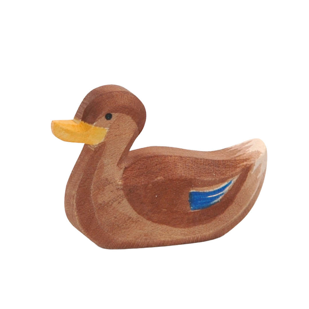 Ostheimer Duck, Swimming 13212