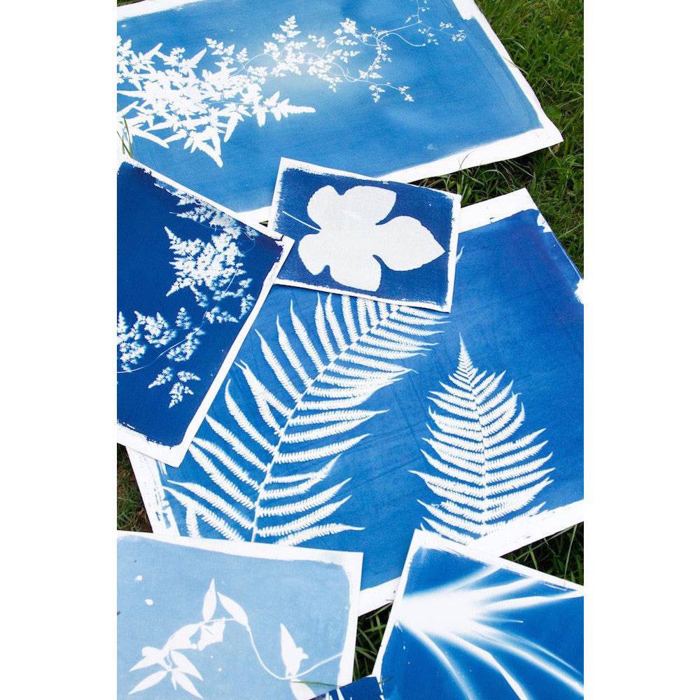 Lawrence Hall of Science - Sunprint Kit - Bella Luna Toys