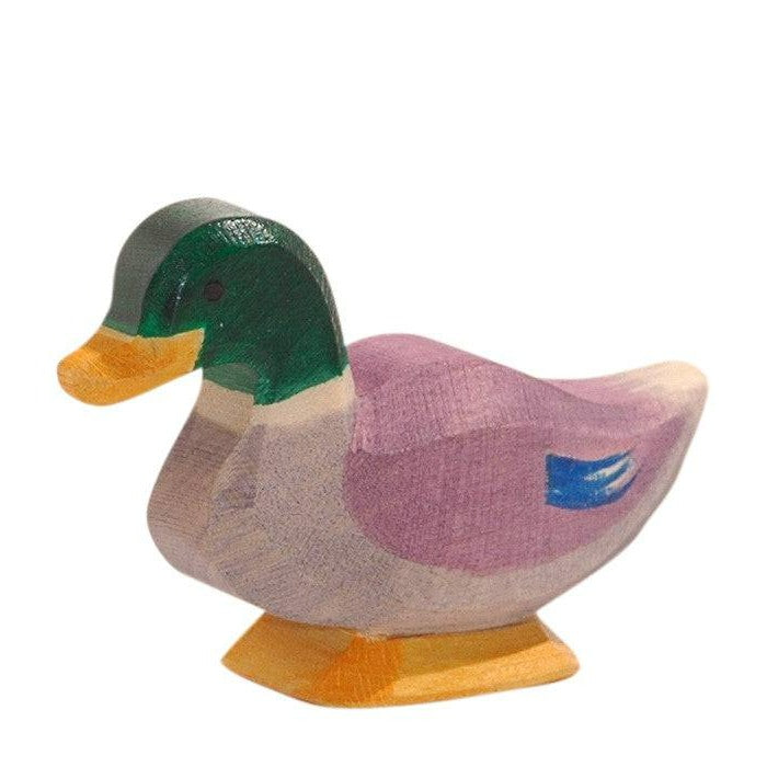 Ostheimer, Drake, Male Duck, 13211